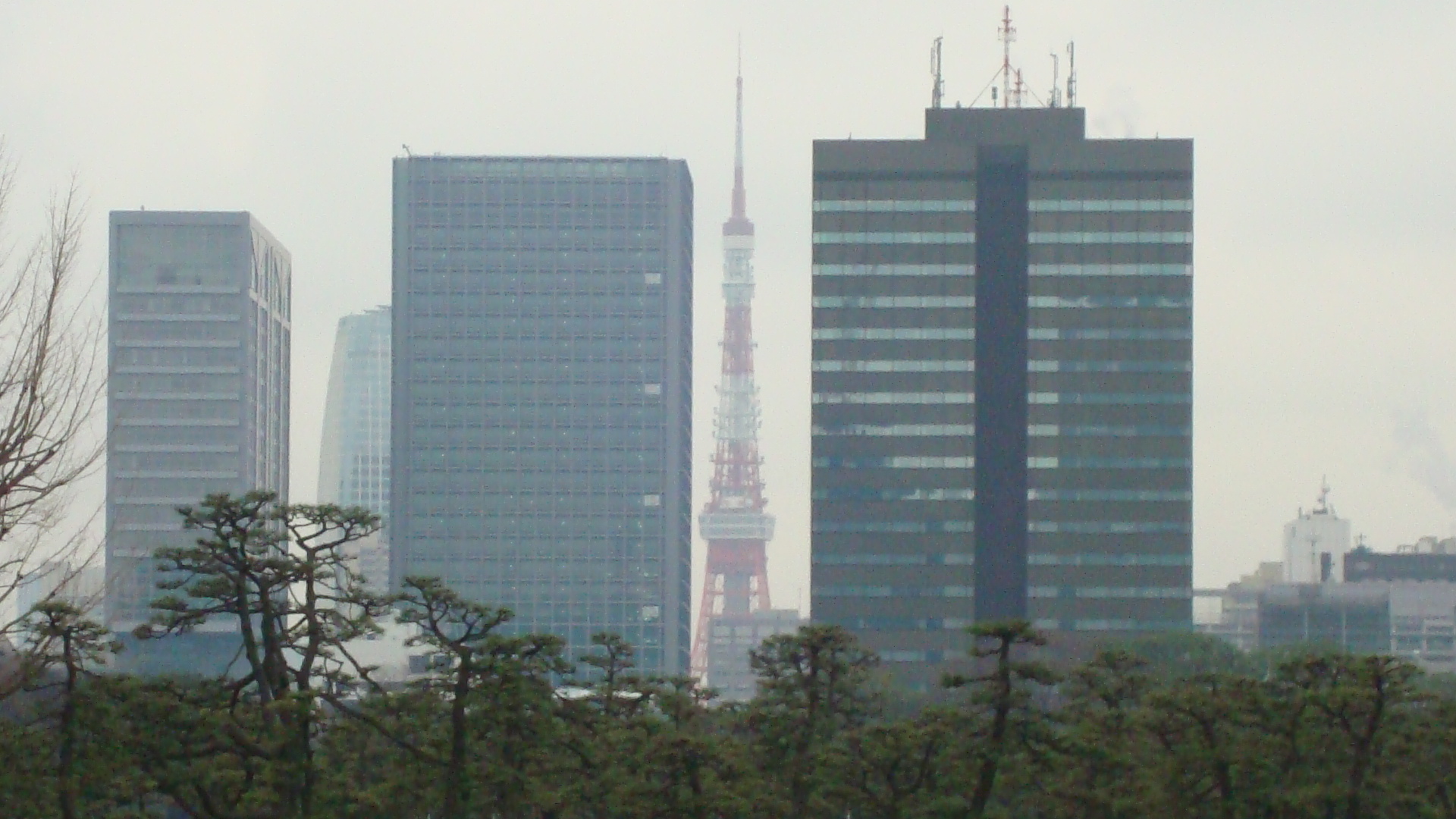 DSC00314.JPG